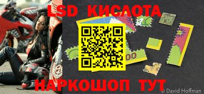 прущие крисы Аргун