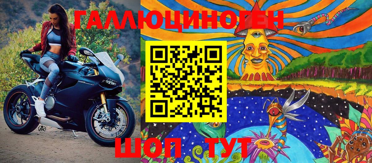 где продают наркотики  Псилоцибиновые грибы GOLDEN TEACHER  Вход с VPN  Галлюциногенные грибы прущие грибы  Вязьма 